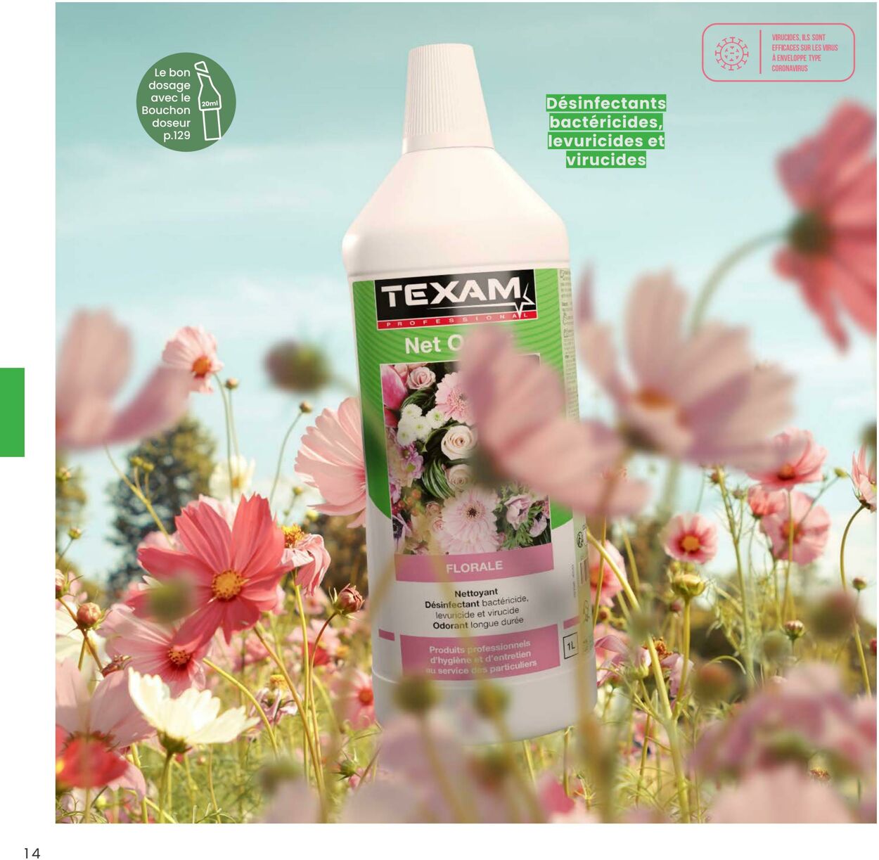 Catalogue Texam 01.01.2025 - 31.03.2025