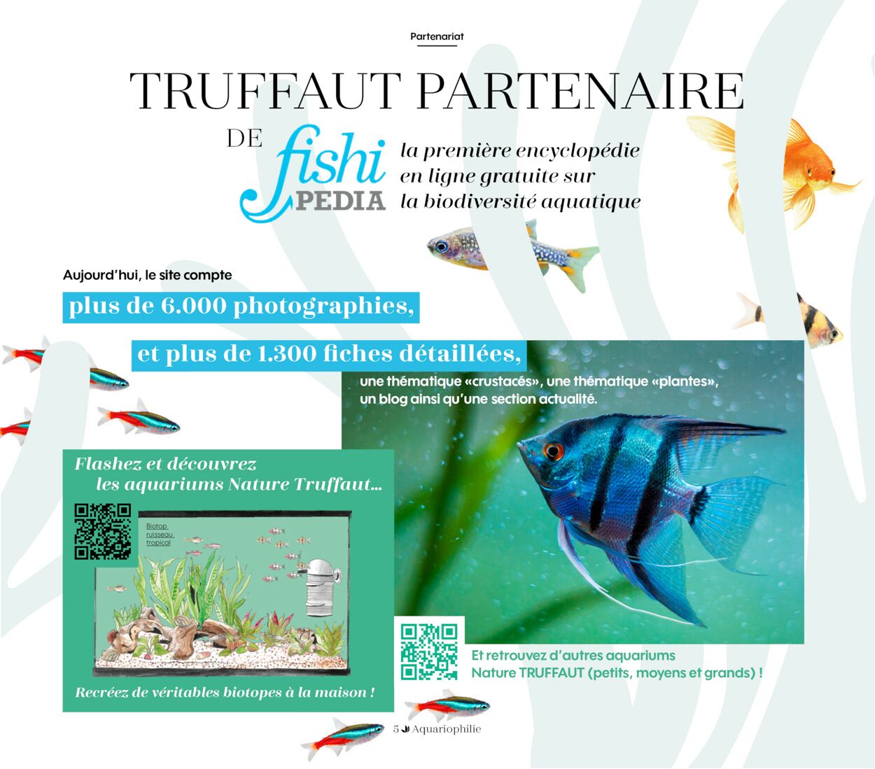 Catalogue Truffaut 01.10.2023 - 31.05.2024