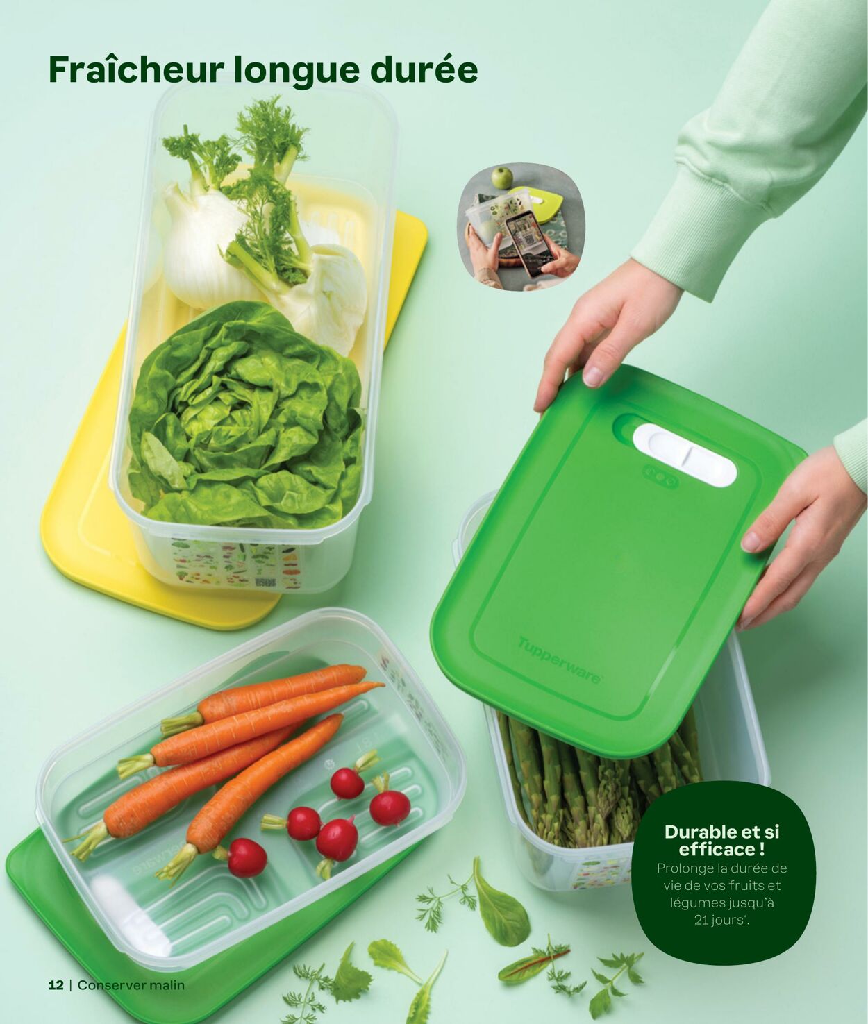 Catalogue Tupperware 24.09.2024 - 01.01.2025