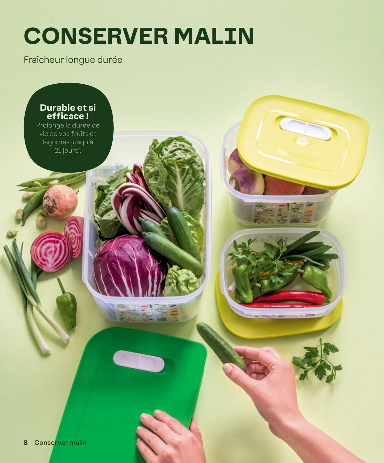 Catalogue Tupperware 04.07.2024 - 31.07.2024